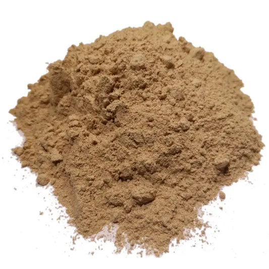 Harpagophytum poudre 100 g NICE ORGANIC herboristerie bio