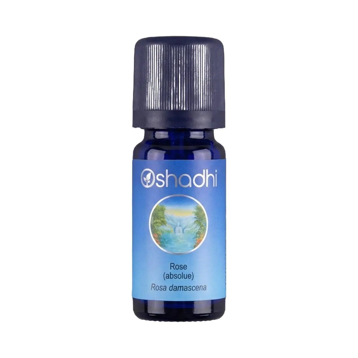 Absolue de Rose de Damas, Fleur - 1ml - Oshadhi