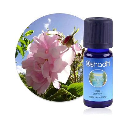 Huile essentielle Rose, absolue 1ml - Oshadhi Herboristerie bio du vieux Nice