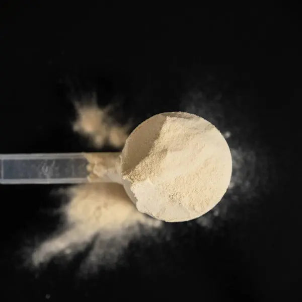Protéine Vanille Näak Ultra Energy™ NICE ORGANIC herboristerie bio