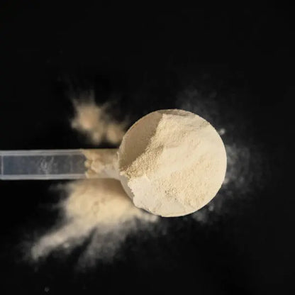 Protéine Vanille Näak Ultra Energy™ NICE ORGANIC herboristerie bio