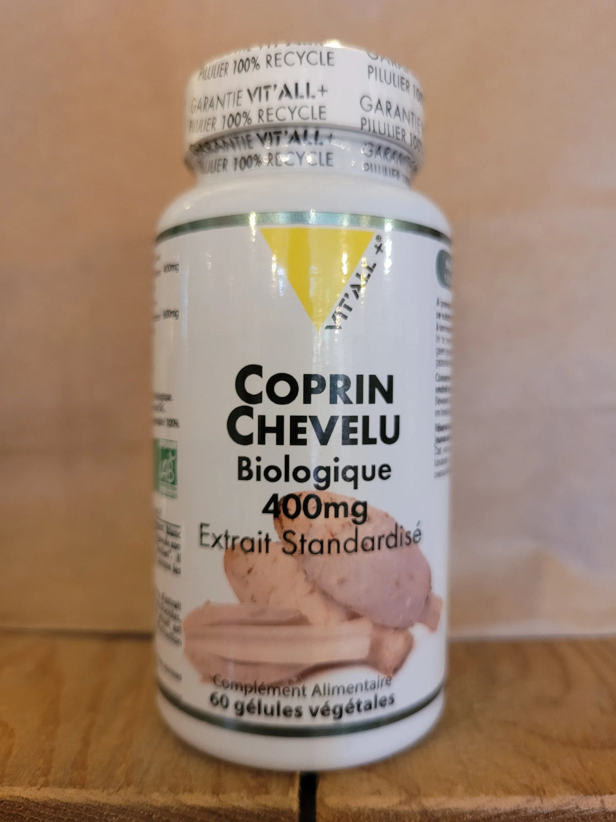 Coprin chevelu Herboristerie bio du vieux Nice