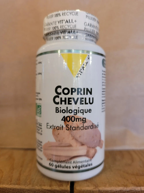 Coprin chevelu Herboristerie bio du vieux Nice