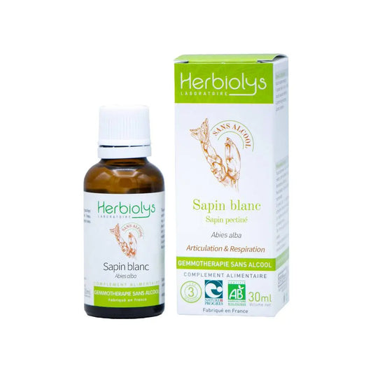Sapin blanc (Sapin Pectiné) de bourgeons Sans Alcool Bio - Articulation et Respiration 30 ml - Herbiolys Herboristerie bio du vieux Nice