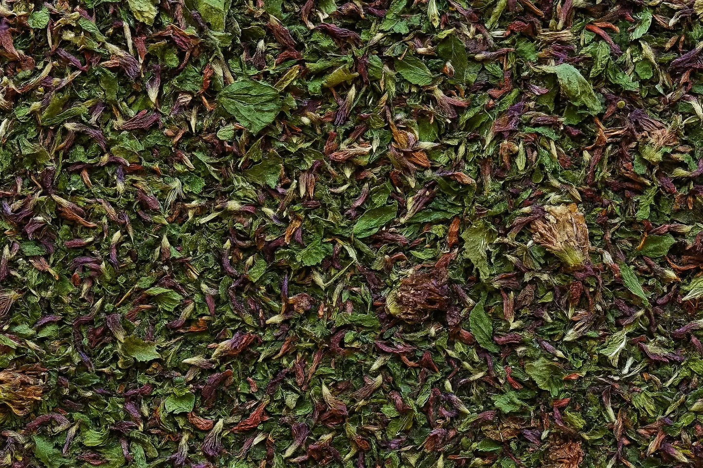 Trèfle rouge Herboristerie bio du vieux Nice
