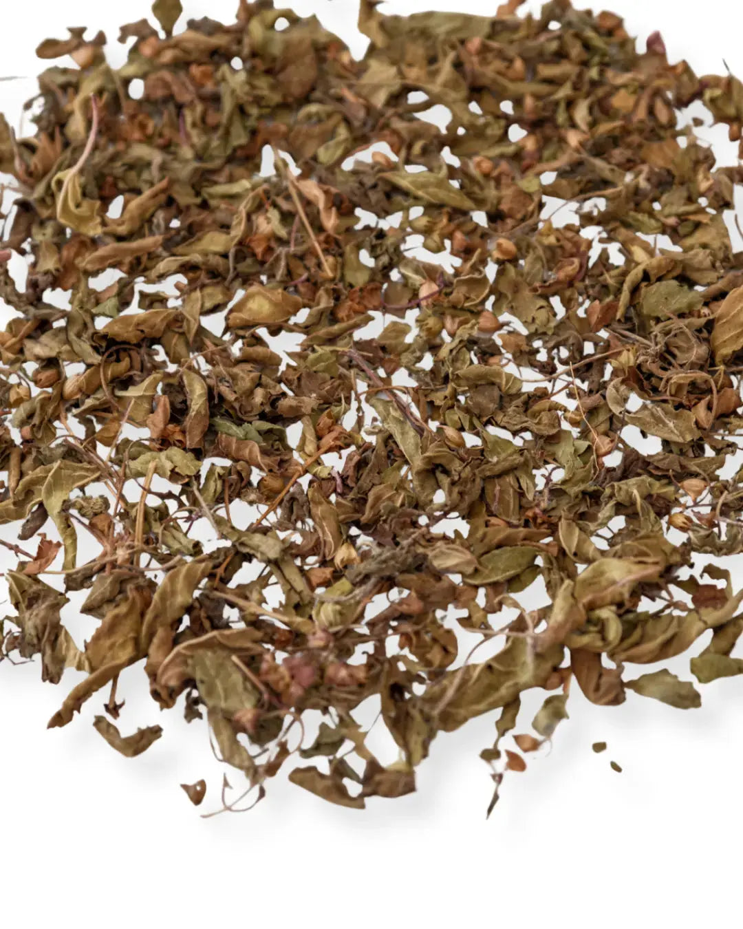 Tulsi / Basilic sacré Herboristerie bio du vieux Nice