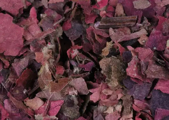 Vigne rouge NICE ORGANIC herboristerie bio