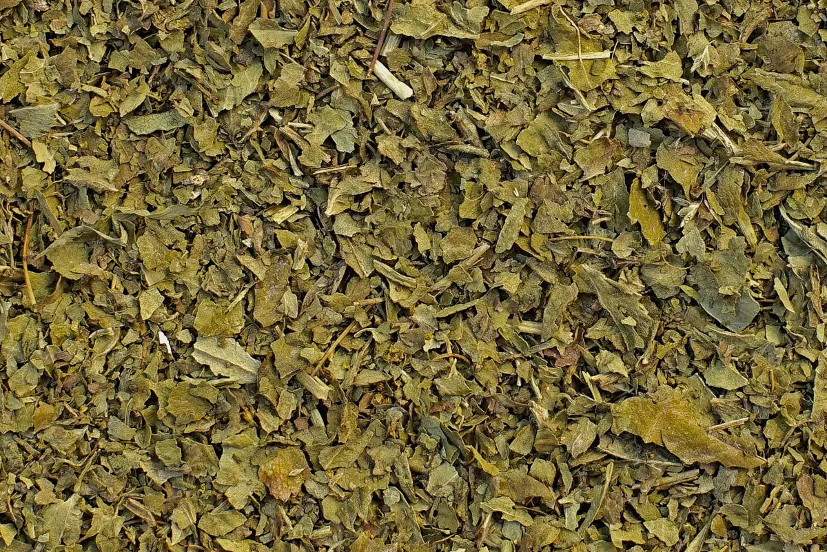 feuilles alchémille tisane bio