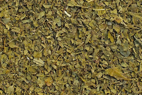 feuilles alchémille tisane bio