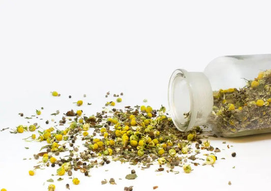 Tisane Camomille matricaire Nice organic herboristerie bio
